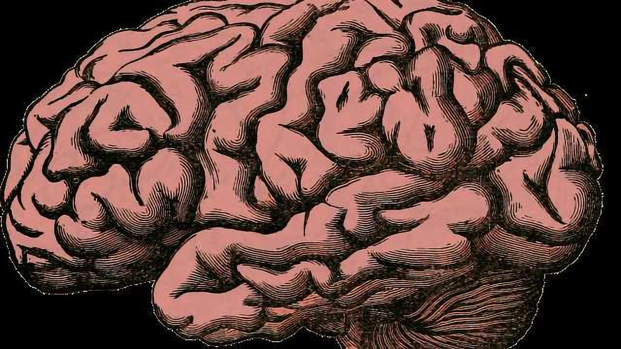 Research Into Degenerative Brain Disease Uses Qlucore Omics Explorer