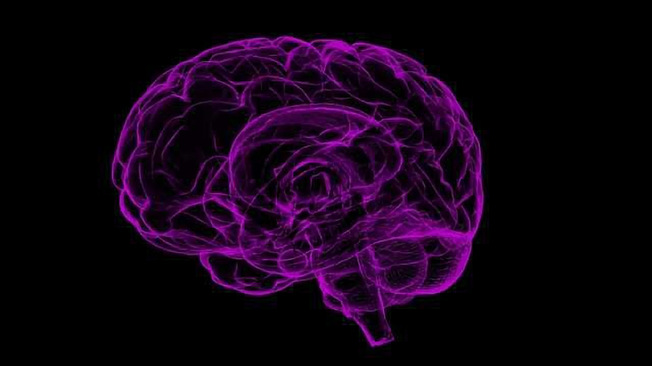 Research into Degenerative Brain Disease Uses Qlucore Omics Explorer