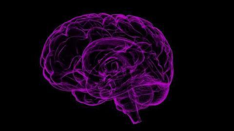 Research into Degenerative Brain Disease Uses Qlucore Omics Explorer
