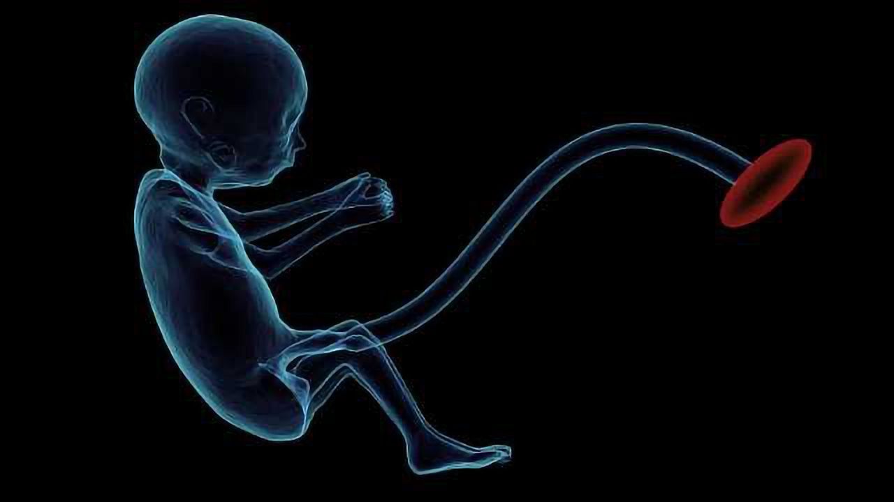 Baby's Epigenetic Changes Could Be Linked to Behavior Issues