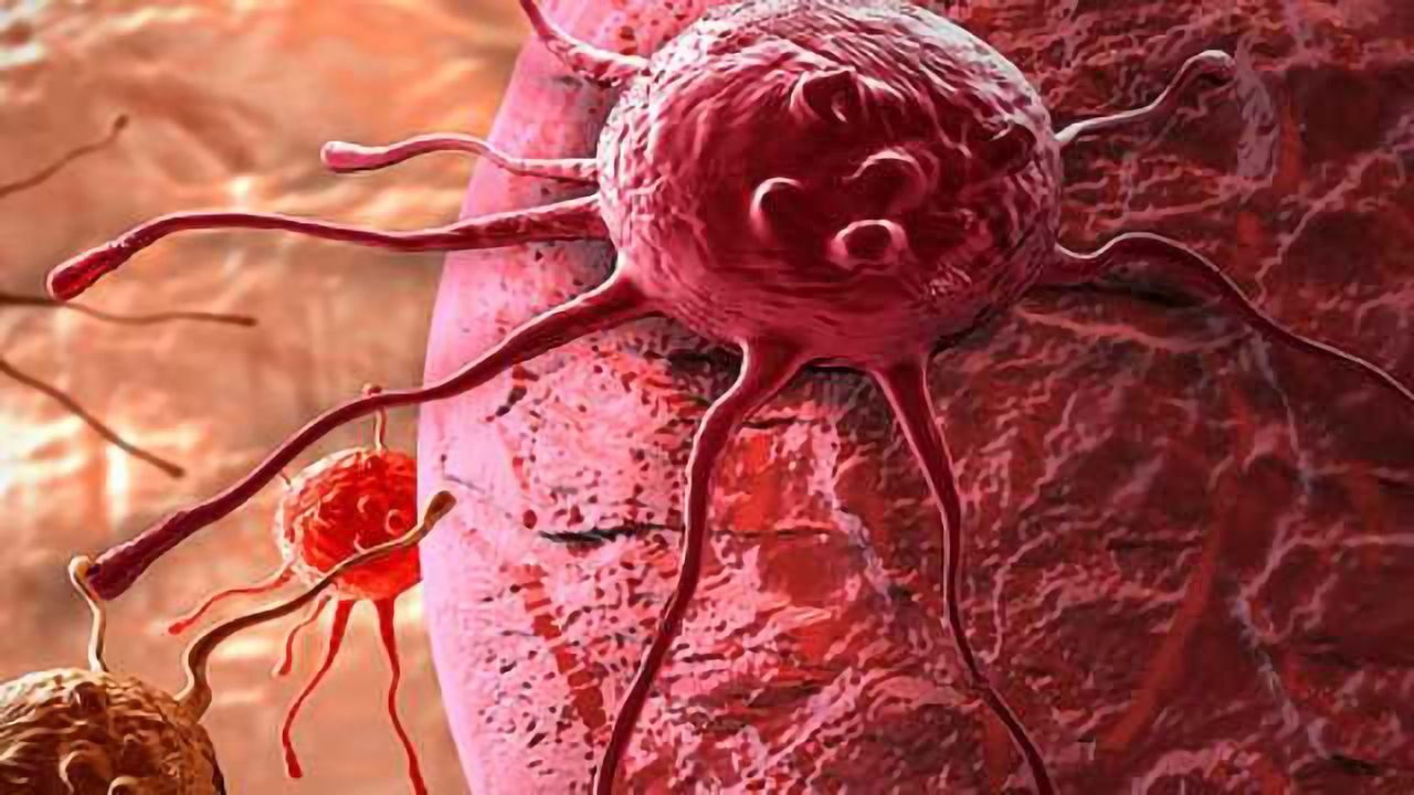Newly Revealed Cellular Pathway May Lead to Cancer Therapies