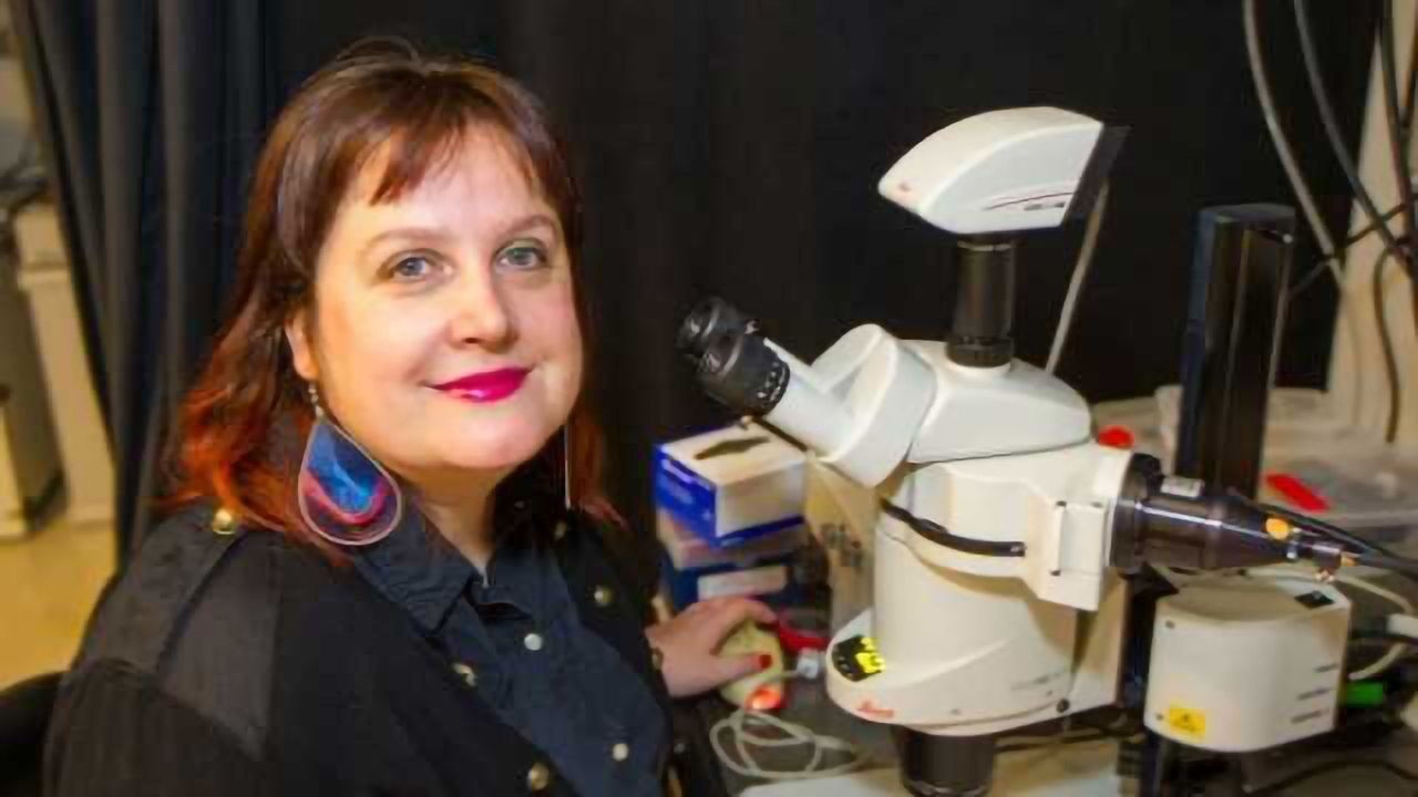 Unexpected Layer of Gene Regulation Challenges Accepted Science