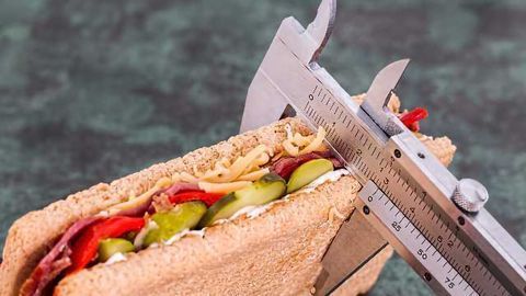 Novel Imaging Method Reveals New Food-Seeking Circuitry