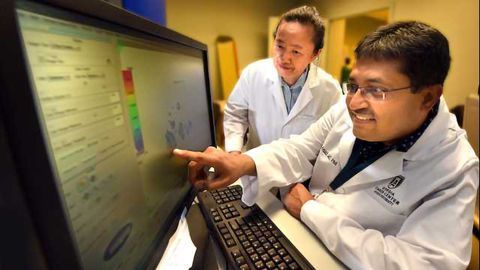 Cells Key to Blood Vessel Formation Can Also Produce Tumors