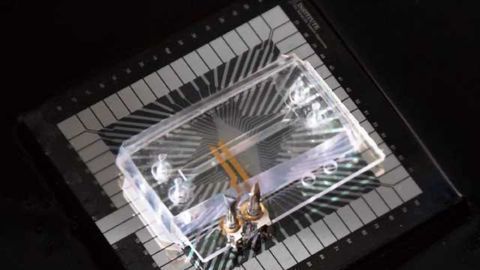 Wyss Institute’s Organ Chips Get Smart and Go Electric