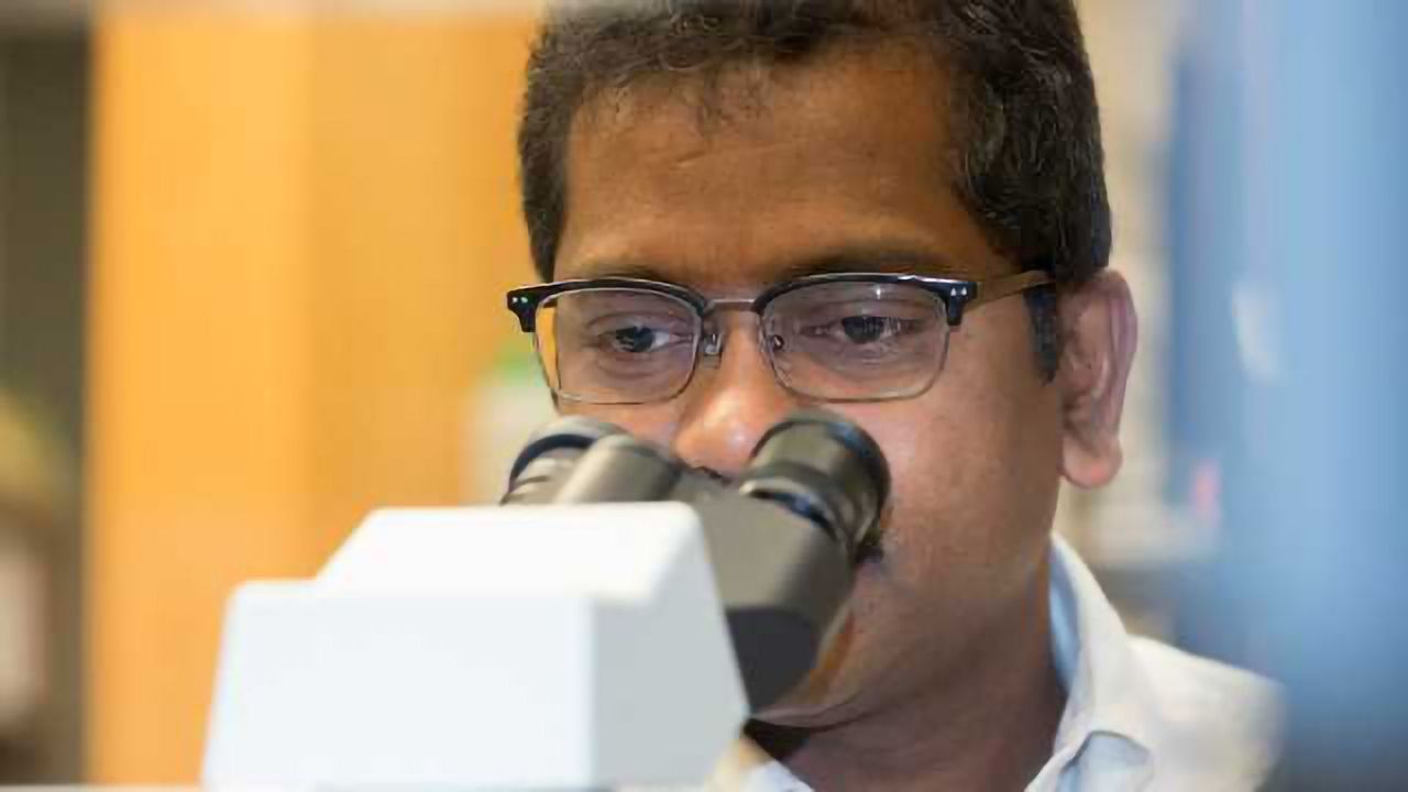 Grape-based Compounds May Kill Colon Cancer Stem Cells