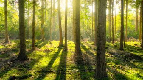 Boehringer Selects NOVA-EM for Their Global Environmental Monitoring Program