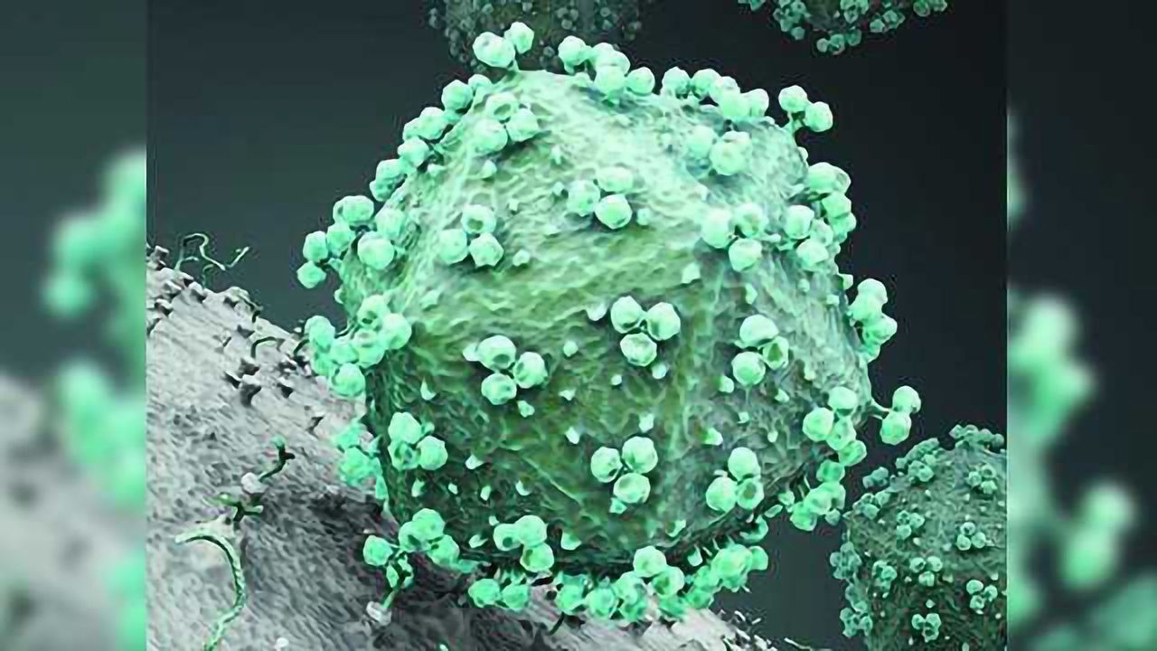 HIV Envelope Trimer Immunization Approach Optimized