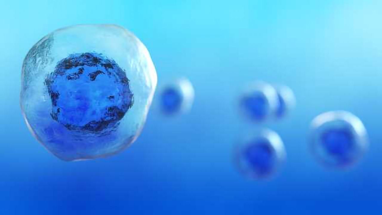 Microfluidics for Single Cell Analysis of CTCs
