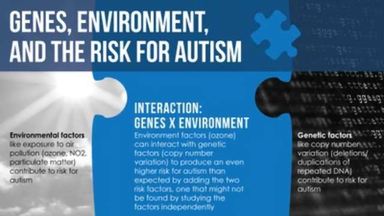 Genetic Variation, Ozone Combine to Increase Autism Risk
