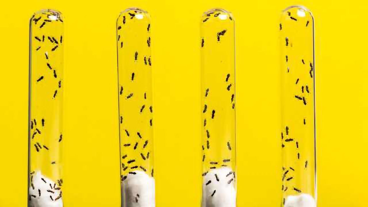 Recycling Old Genes to Gain New Functions