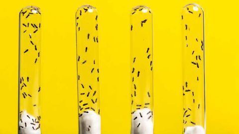 Recycling Old Genes to Gain New Functions