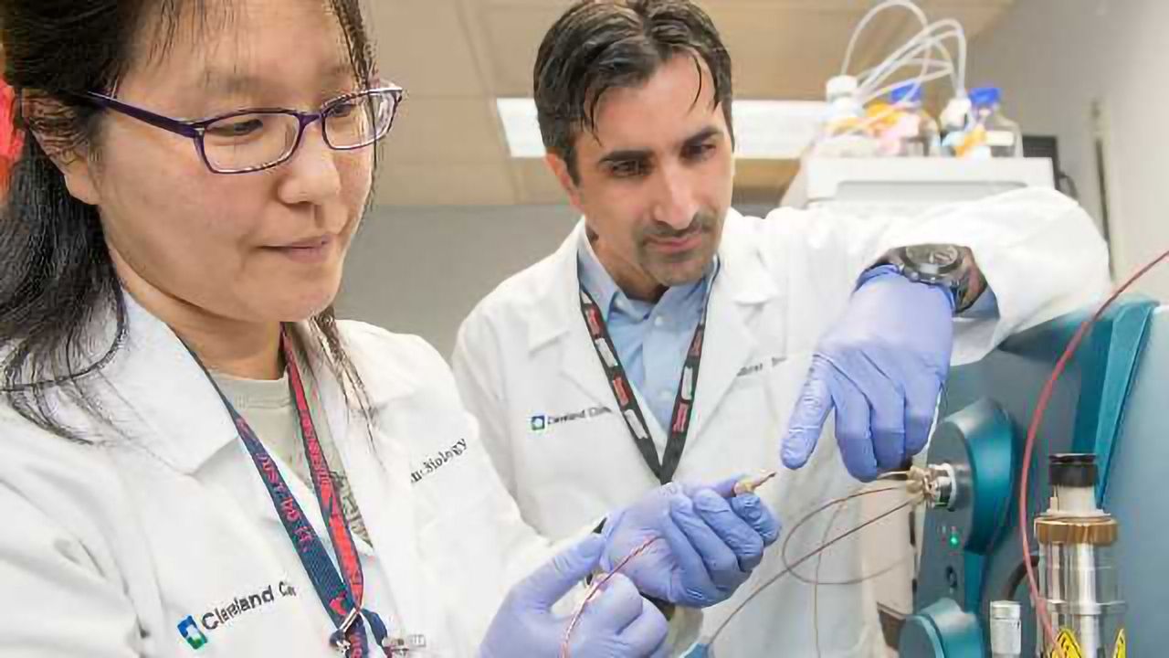 Advanced Cancer Drug Study Highlights Need for Novel Approaches