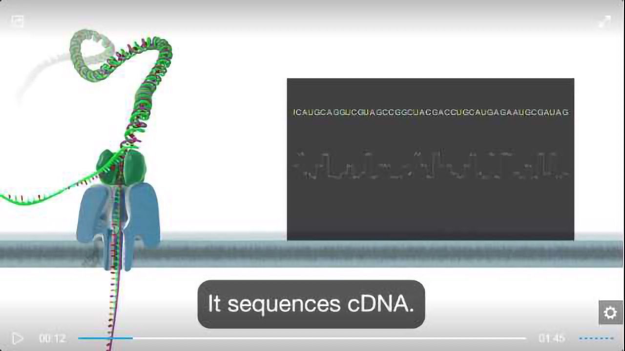 RNA sequencing with nanopore technology