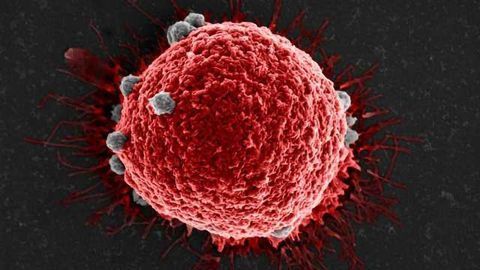 A Broad-spectrum CTC Capture Agent for Cancer Diagnostics