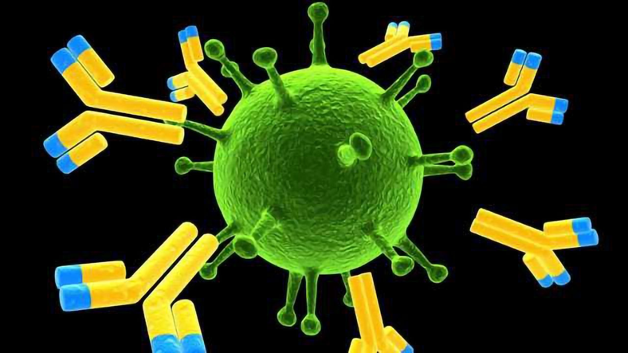 New Antibody May Help to Combat Chemotherapy Resistant Cancer