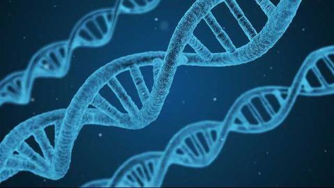 Molecular Test Identifies Breast Cancer Patients with Lowest Risk of Death