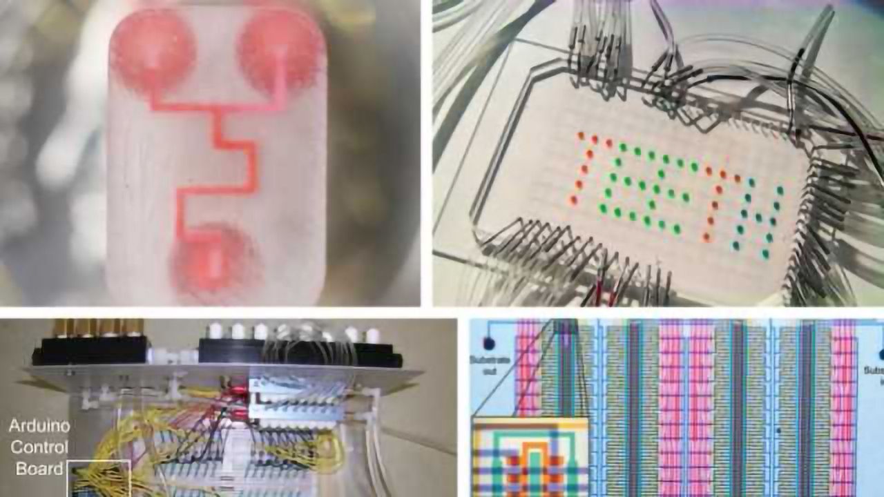 Microfluidics for the Masses