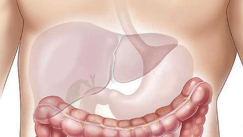 Superiority of InSphero Human Liver Microtissues for Prediction of Drug-Induced Liver Injury Confirmed