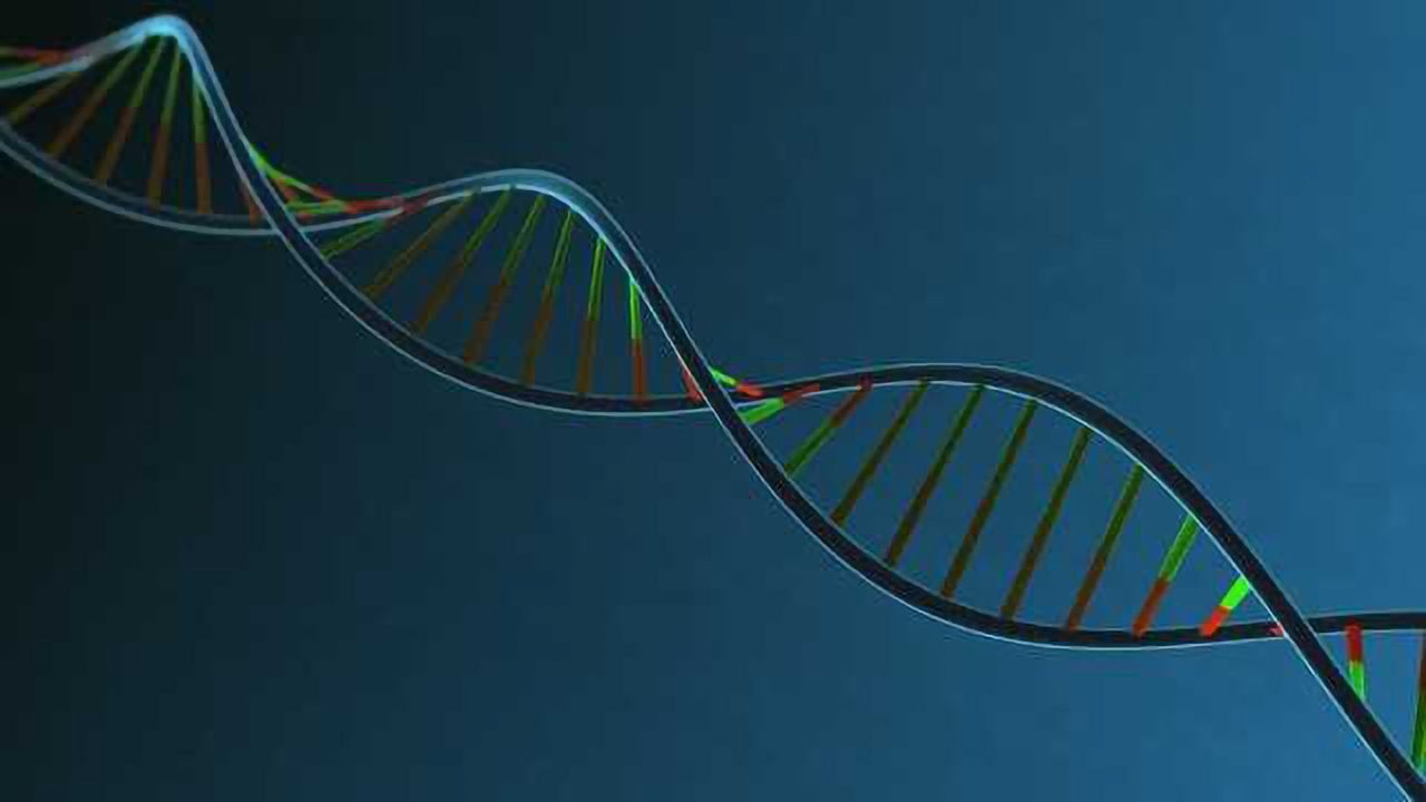 NCI Makes Bold Move to Enable Open Access to Cancer Genomics Data