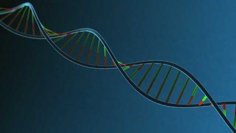 NCI Makes Bold Move to Enable Open Access to Cancer Genomics Data