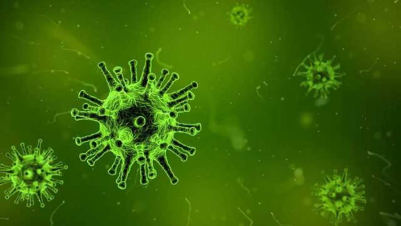 Discovery of Ancient Antiviral System Could Revolutionize RNA-based Medicine