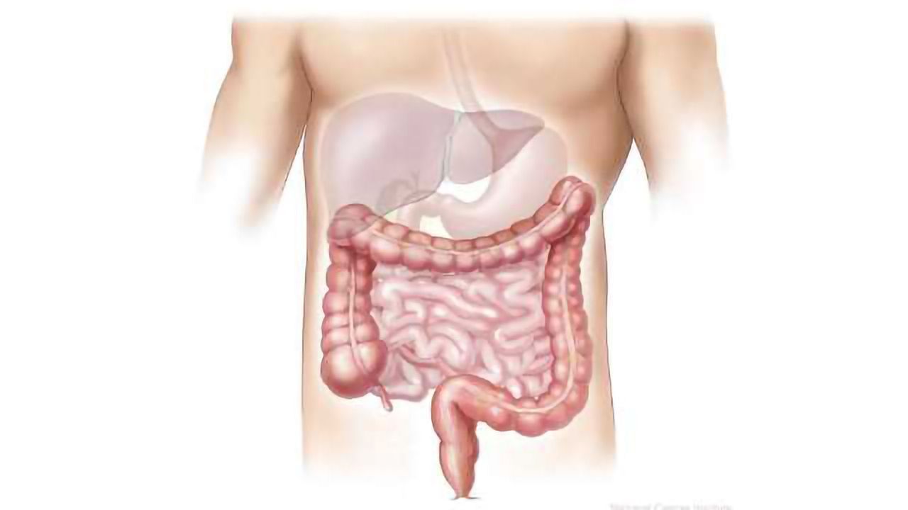 Enabling Personalised Treatments for GI Tract Cancers