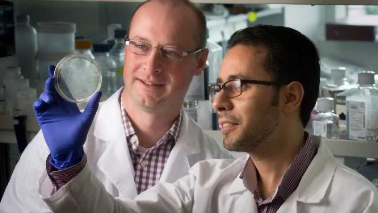 Epigenetic Reprogramming May Significantly Enhance Immunotherapy Efficacy
