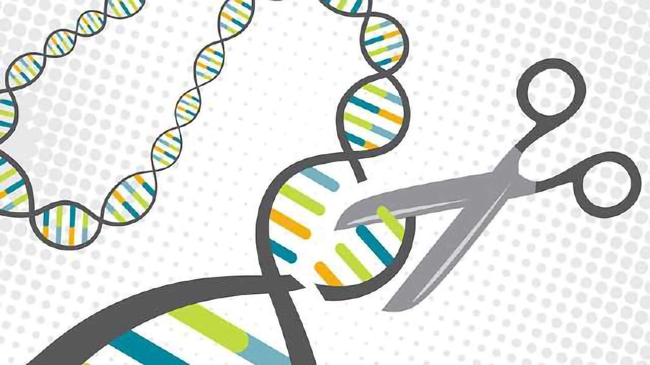 CRISPR: Screening the genome for potential off-target effects