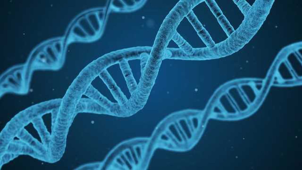 Illumina Announces Next-Generation Sequencing Cancer Companion Diagnostic Test Kit