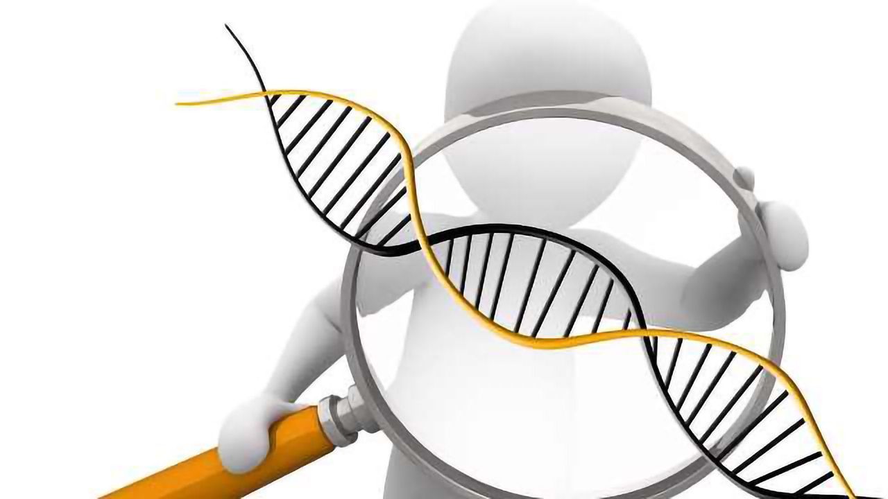 Swift Biosciences Launches Next Phase of Company Growth and Expansion