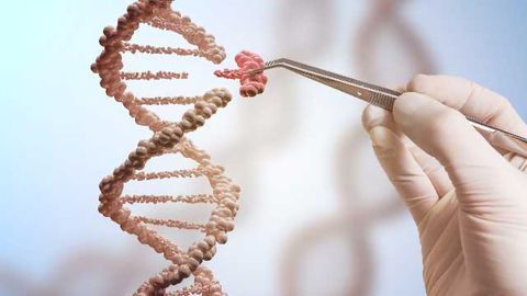 Horizon Discovery Takes Exclusive License for Transposon-based Gene Editing Technology Platform