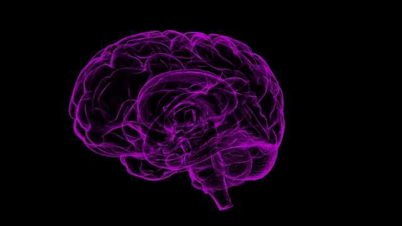 Genes Identified that Play Role in Alzheimer's, Glioblastoma Comorbidity