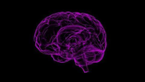 High Serum Serotonin Levels Found in Blood of SIDS Infants