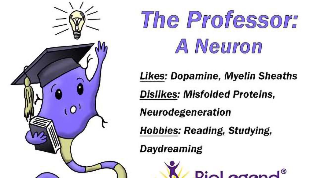 Become a Professor