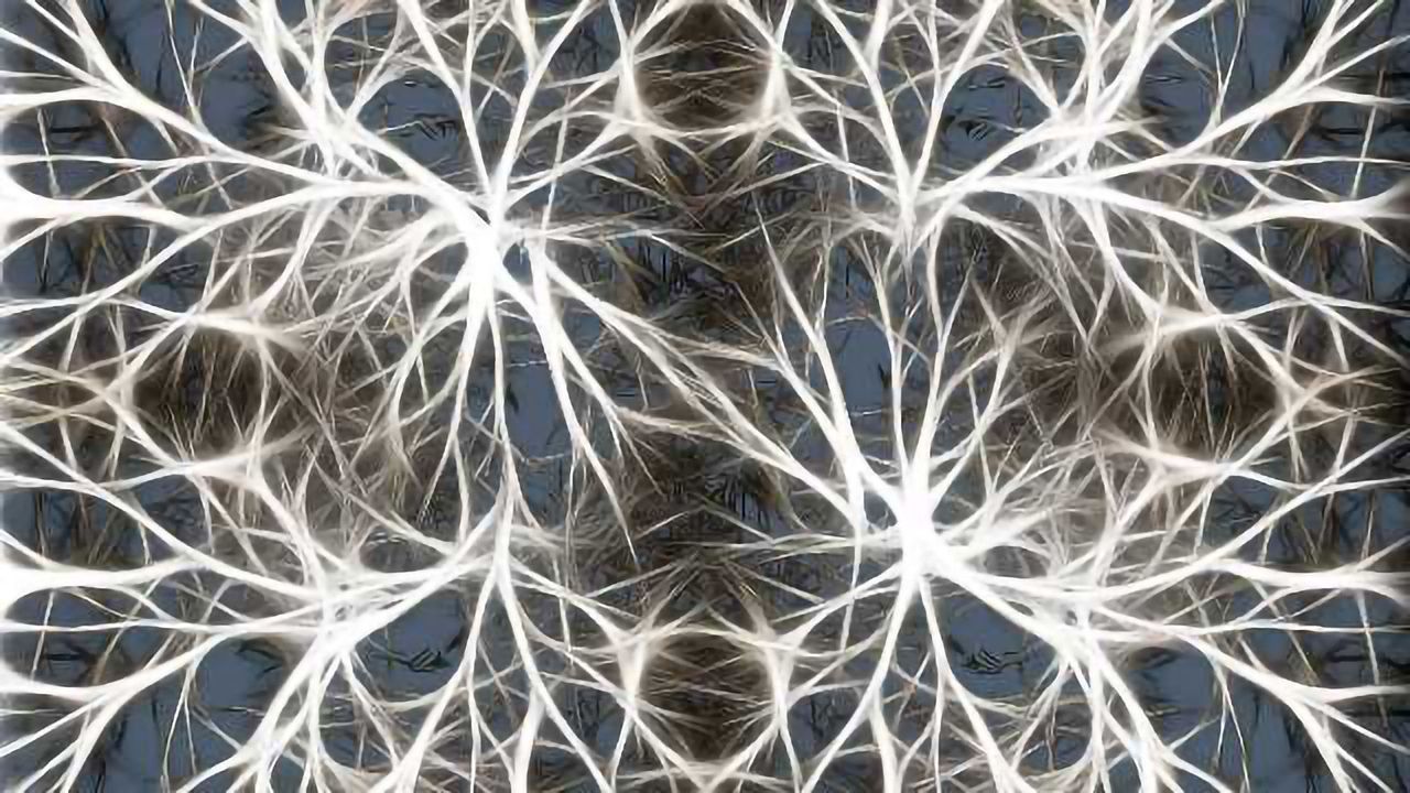 Self-Inactivating Rabies Virus For Brain Tracing and Genetic Manipulation