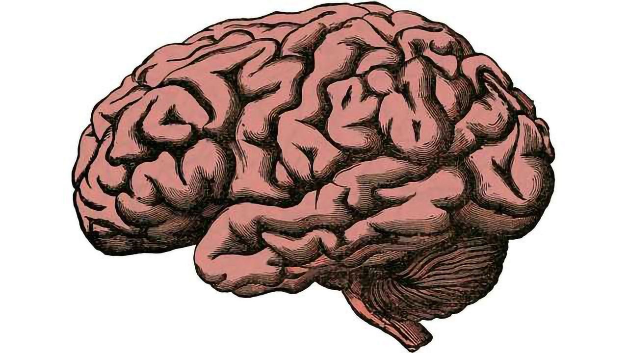 The NIH NeuroBioBank: Addressing the Urgent Need for Brain Donation