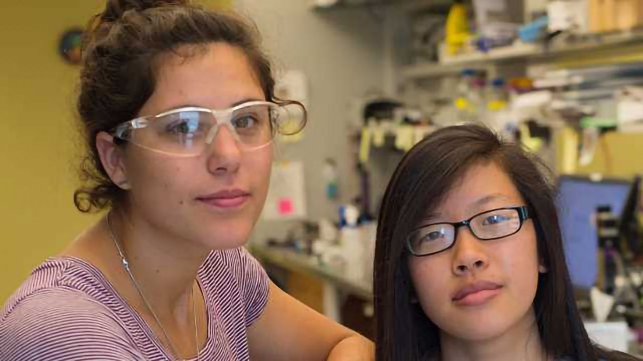 A Step Closer to Growing Capillaries