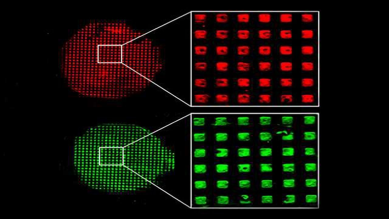 Miniature Technology, Big Hope for Disease Detection