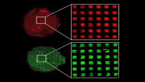 Miniature Technology, Big Hope for Disease Detection