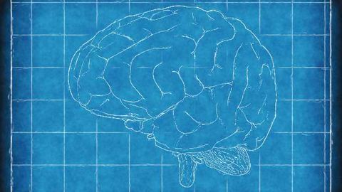 Biopolar Biomarkers May Differ Between Men and Women