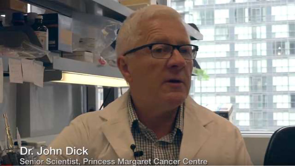 Stem Cell Researchers Solve Mystery of Relapse in AML content piece image