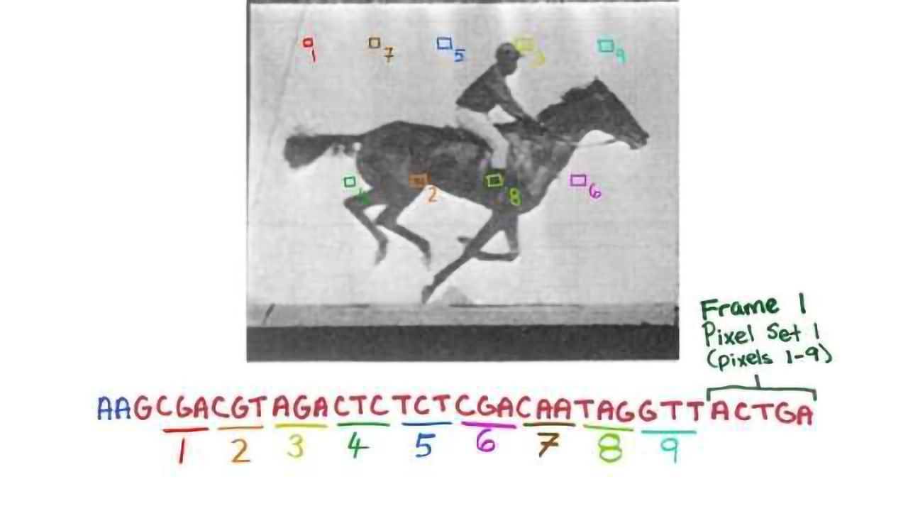 CRISPR Transforms Living Cells Into Data Storage Devices
