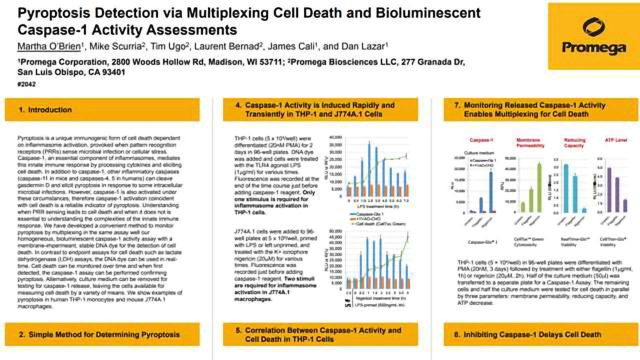 通过多路复用细胞死亡和生物发光caspase-1活性评估检测凋亡检测