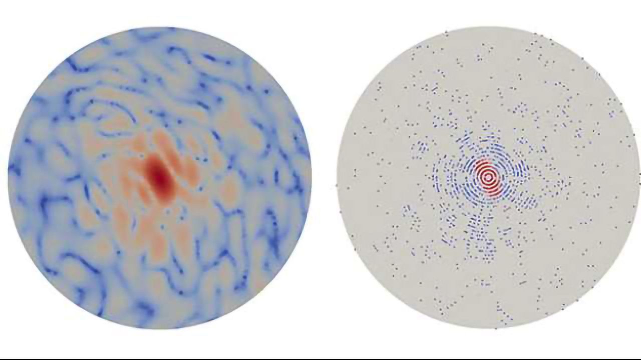 New Algorithms Help Extract 3-D Biological Structure from Limited Data