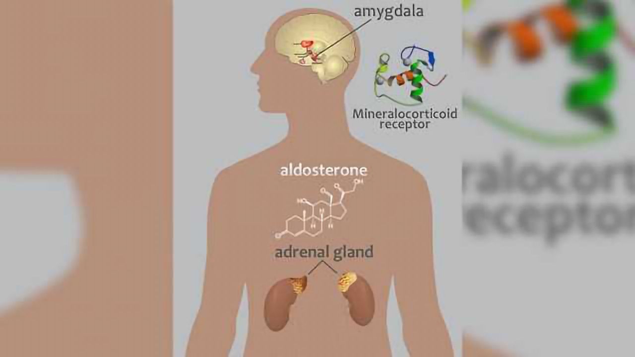 NIH links Aldosterone to Alcohol Use Disorder