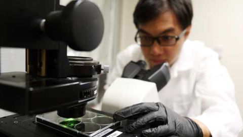 Microscopy Technique Could Enable More Informative Biopsies