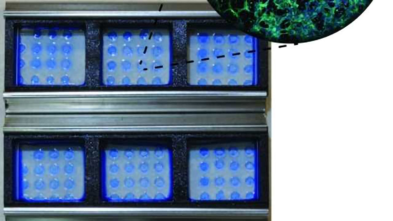 Synthetic Material to Support Stem Cells Developed