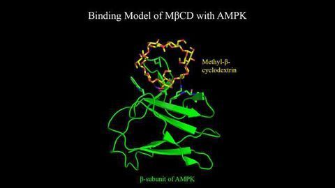 Cell Recycling System Offers Therapeutic Entry Point for Rare Disease Treatment