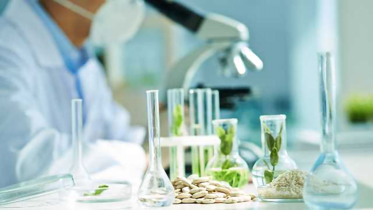 Plant Epigenetics: An untapped molecular resource for crop improvement